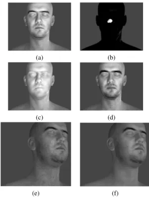 Figure 3: Morphological processing of real valued 3D surface of a face: (a) original image on a surface S ⊂ R 3 , f (x) ∈ F (S, R + ); (b) example of geodesic ball B r (x) at a given point x ∈ S; (d) and (e) Riemannian dilation δ λ ( f )(x) and Riemannian 