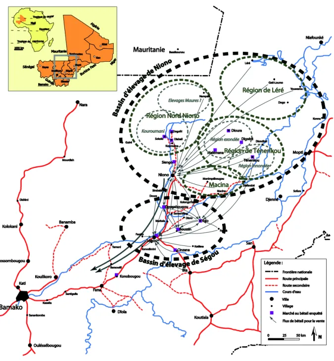 Figure   14   :   Carte   des   flux   commerciaux   de   bétail   dans   la   région   de   Ségou   et   de   Niono   dans   le   delta   intérieur   du   Niger,   Mali   (Gautier   et   al.,   2007)  