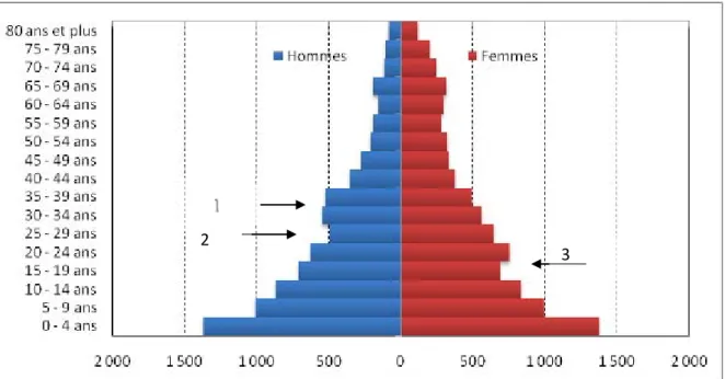 Figure 7 : Pyramide des âges du district de Zanaga (RGPH 2007) 