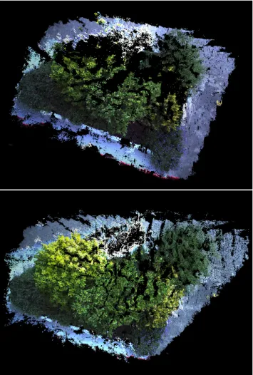 Figure 1: Top: image of small bushes taken from a fixed point of view. Bottom: the brightest areas show the biggest displacement of the vegetation during a period of one second.