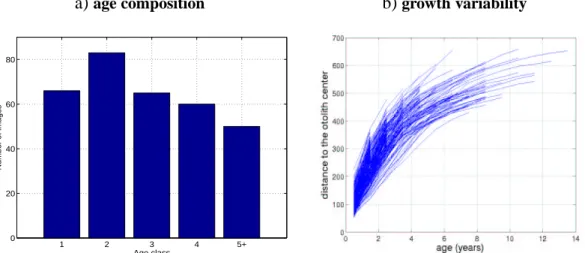 Figure 7. Plaice otolith dataset: a) age distribution of the database of 320 plaice otoliths, b) illustration of growth variability within the considered dataset