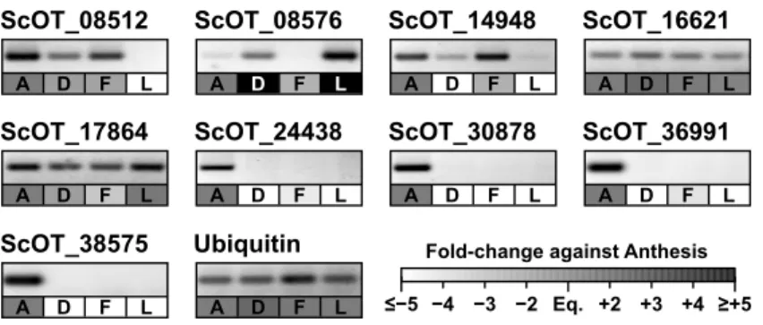 Figure  2.1  RT-PCR  validation  of  gene  expression  levels  derived  from  RNA-seq  data