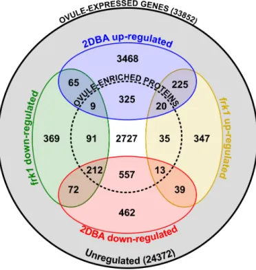 Figure 2.2 Euler diagram showing overlaps between gene sets differentially regulated in  frk1,  2DBA  ovules  and  leaf,  as  compared  to  anthesis  ovules