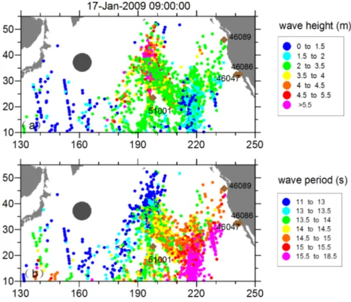 Figure 1. The “fireworks” of propagated swells at 17-Jan-2009 09:00:00. 