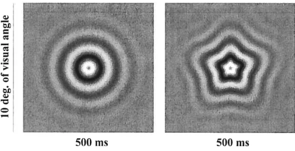 Fig. 1. High contrast sinusoidal concentric grating (0.8 cldeg), subtending 10 deg2, followed, 500 ms after onset, by a similar grating radially modulated in frequency.