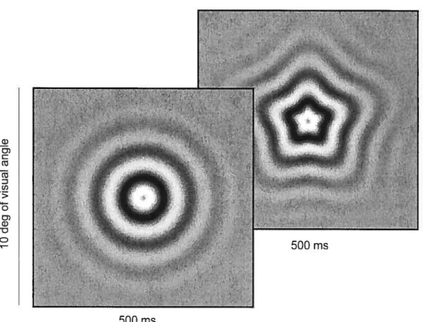 Figure 1. High contrast (80%) sinusoidal concentric grating (0.8 cldeg), subtending 10 deg2, followed, 500 ms after onset, by a similar grating radially modulated in frequency.