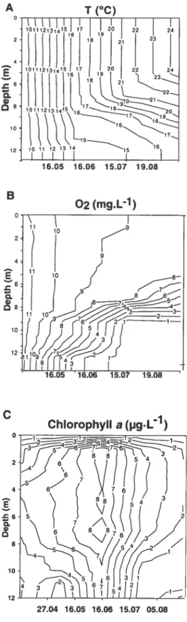 Figure 2.1: Contour plots of water temperature (°C) (A), oxygen concentrations (mgL-1) (B) and total chlorophyli a biomass (tgL-1) (C) based on weekly observations during summer 2002
