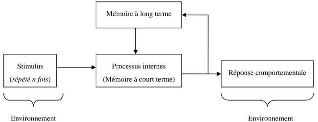 Figure 7 : Les étapes du processus d’apprentissage 
