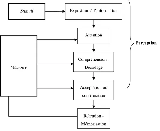 Figure 9 : Les étapes du processus perceptuel et du traitement de l’information 