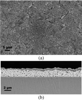Fig. 10. SEM images of (a) top and (b) cross- cross-section views of the spin-coated layer 