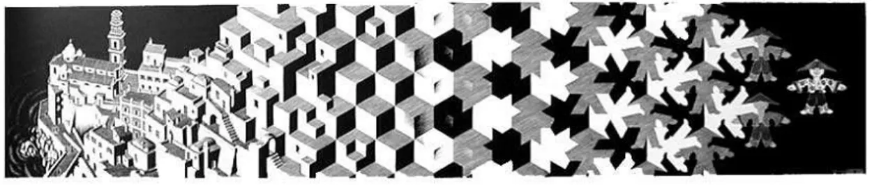 Figure 1. Métamorphose 1. Escher 