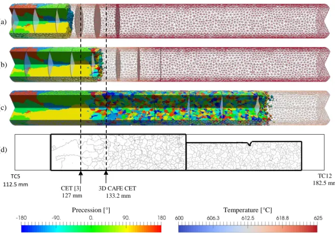 Figure 6:  CAFE simulation of  the  solidification grain structure of  the  B1-FM1 sample  between thermocouples  TC5 (112.5 mm) and TC12 (182.5 mm)
