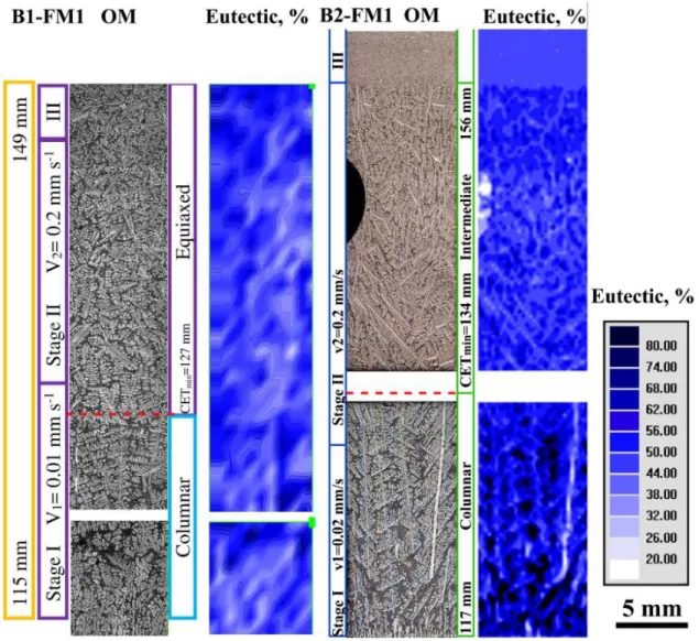 Fig.  2:  Longitudinal microstructures by optical  microscopy OM  (left) and  eutectic percentage distribution maps  (right)  for  flight  samples  B1-FM1  and  B2-FM1