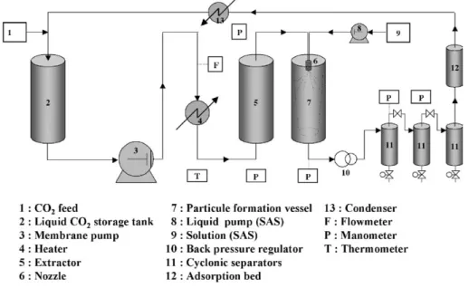 Fig. 2. Experimental set-up.