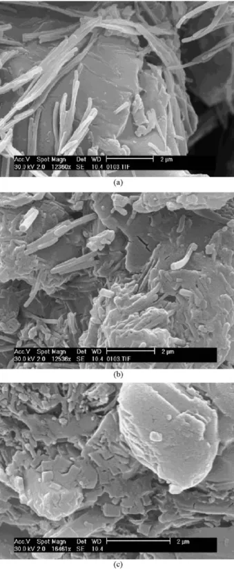Fig. 3. ESEM pictures of SAS processed Eflucimibe (a), and of raw Cavamax