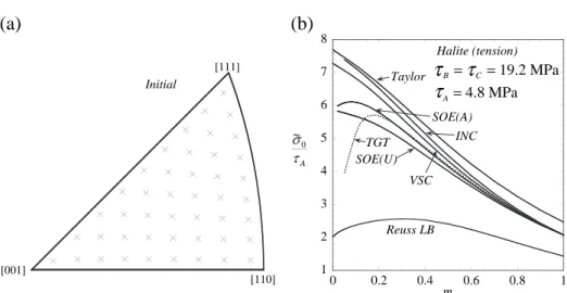 Fig. 1. (a) Inverse pole figure of the initial texture of the isotropic halite polycrystal, using 45 equally weighted and uniformly distributed orientations in a stereographic triangle