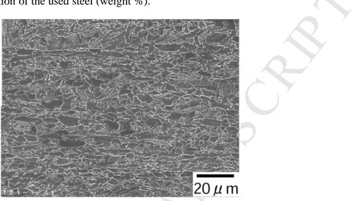 Fig. 1. SEM image of the steel plate used in this study (Nital etching).