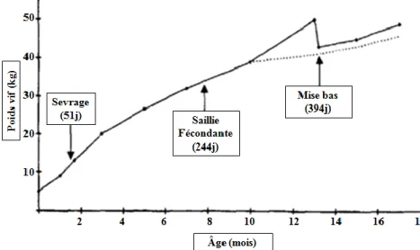 Figure  1 :  Courbe  de  croissance  de  392  chevrettes  de  race  Alpine  et  Saanen  de  la  naissance  à  5  mois  de  lactation,  adaptée  de  (Lictevout,  1992),  paru  dans   (Morand-Fehr et al., 1996)