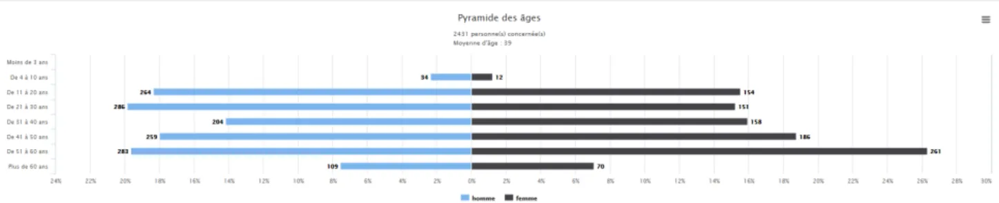 Figure 7- Exemple de graphique représentant la pyramide des âges 
