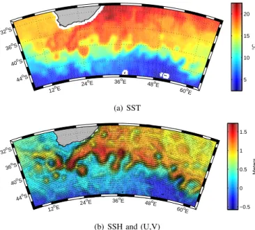 Fig. 1. Satellite data of SST (a) and SSH with the associated geostrophic surface currents (b) the 1 st of September, 2004 within the Agulhas current.