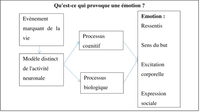 Figure 6 : Cause de l’émotion (Reeve, 2015, p. 334) 