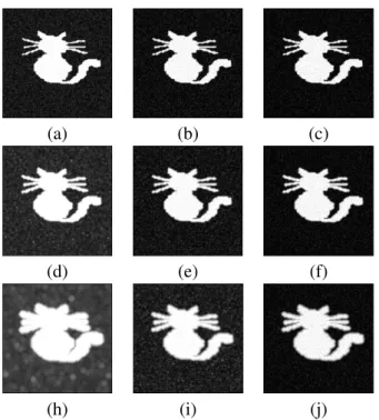 Fig. 7. Multiscale erosions of the noisy binary Cat image given in Fig. 5(a). From top to bottom − First line, 5 iterations using (a) classical approach, Eq
