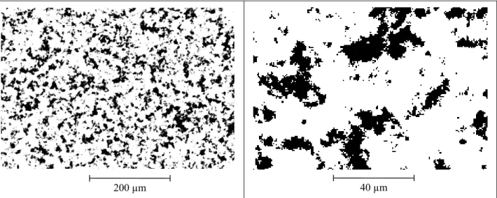Fig. 19. 2D simulation of the food product using the experimental covariance (left), and zoom to show the artefacts.