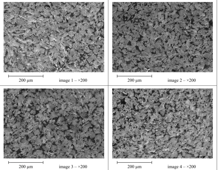 Fig. 1. The 4 micrographs taken from the sample.