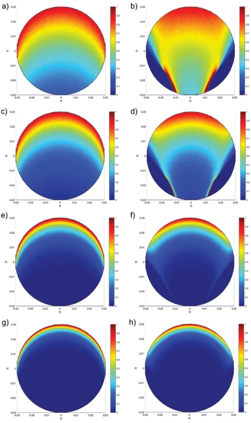 Figure 2. Contour maps of normalized LVRPA at different biomass concentration: (a – b) C x 0.10 kg/m 3 ; (c – d) C x 0.2 kg/m 3 ; (e – f) C x 0.5 kg/m 3 ; (g – h) C x