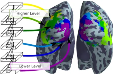 Figure 3: Best model per voxel. Among the voxels which are modeled by at least one of the convolutional network layers, we show which network layer models which region best