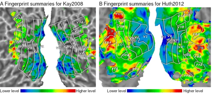 Figure 4: Fingerprint summaries as brain map. We compute a summary statistic for voxel fingerprints by evaluating their inner product with an ascending linear trend from -1 to 1 in nine steps of 0.25
