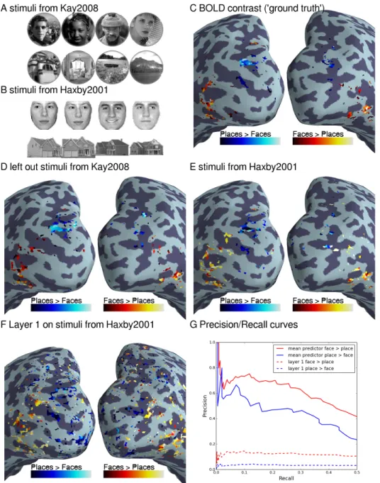 Figure 6: Synthesizing Face versus Place contrast. (A) Examples of the stimuli similar to those of [17] containing close up photos of faces (45 total) and places (48 total), removed from the train set of the synthesis model