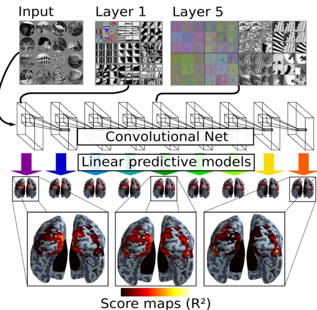 Figure 1: The experimental setup. Top left: 16 Examples of stimulus images (similar in content to the original stimuli presented to the subjects, and identical in masking) which are input to the convolutional network