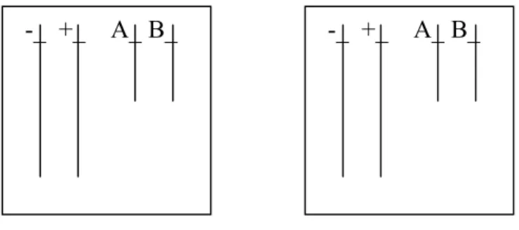 Figure 6. Répartition n°5 des chromosomes de la cellule mère aux deux cellules filles 