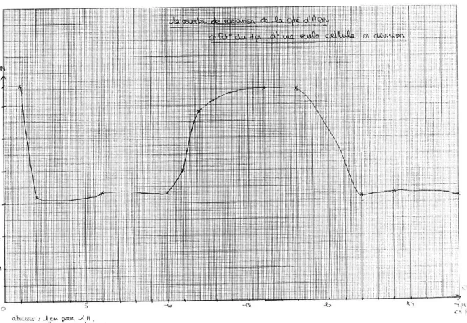 Figure 1. Graphique construit par les élèves présentant l’évolution de la quantité d’ADN au cours de la division cellulaire 