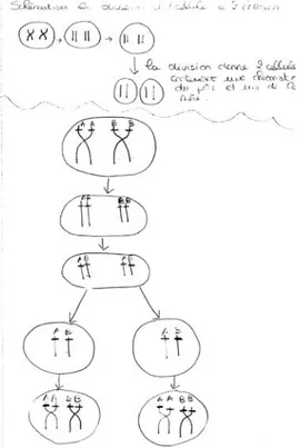 Figure 5. Production d’un élève relevant de la quatrième catégorie 