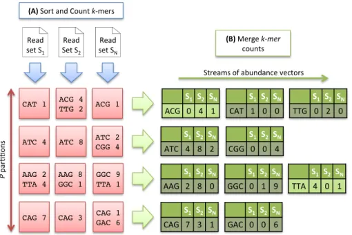 Figure 2. Multiset k-mer Counting strategy with k=3. (A) The sorting counting process, represented by a blue arrow, counts datasets independently