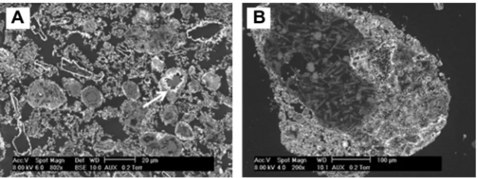 Fig. 10. SEM images of P80_DRY25 (A and B), and P80_DRY105 (C and D) before lead(II) removal; Observation of external surface (E) and look inside cut and polished particles (F) of P80_DRY105 after contact with lead(II) solution; Lead(II) has the highest co