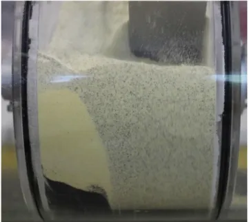 Fig. 14 – Front view of the blender after 5 min of stirring of semolina at 57 rpm, tracer initially placed in zone 3.