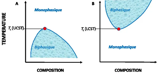 Figure  1.1. Diagrammes de phases  génériques  (A)  d’un polymère possédant  une UCST (B)  d’un polymère possédant une LCST