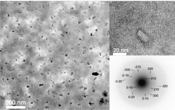 Figure 2.3. TEM micrographs of nanoparticles obtained from dialyzed suspensions  of  PEAA12  (upper  right:  enlarged  view  of  one  of  the  particles;  lower  right:  electron  diffraction pattern obtained for one nanoparticle)