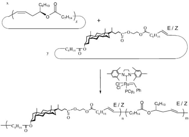 Figure 1.12: Synthesis of copolymers of lithocholic and ricinoleic acid  using ED-ROMP