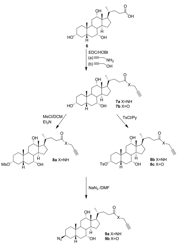 Figure 2.2: Reaction scheme for the synthesis of  ω -alkyne- α -azide cholic  acid derivatives 9a and 9b from cholic acid 6