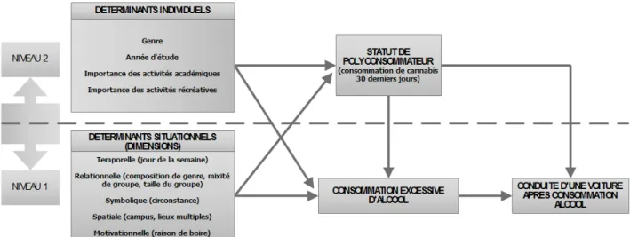 Figure 1. Modèle conceptuel pour les hypothèses concernant les buveurs 