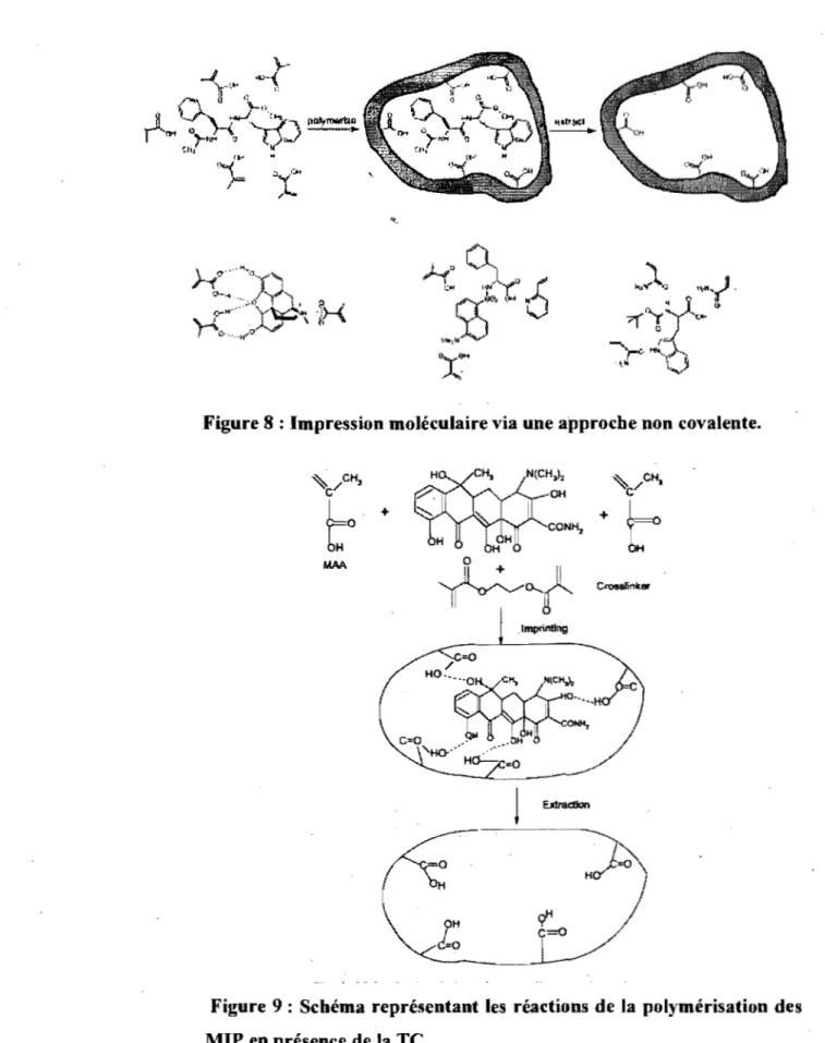 Figure 8 : Impression moléculaire via une approche non covalente.  OH  +  , Imptinting  -~ .