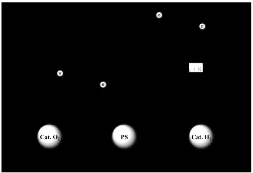 Figure 1.4 – Schéma du processus de clivage de l’eau dans un système  photocatalytique