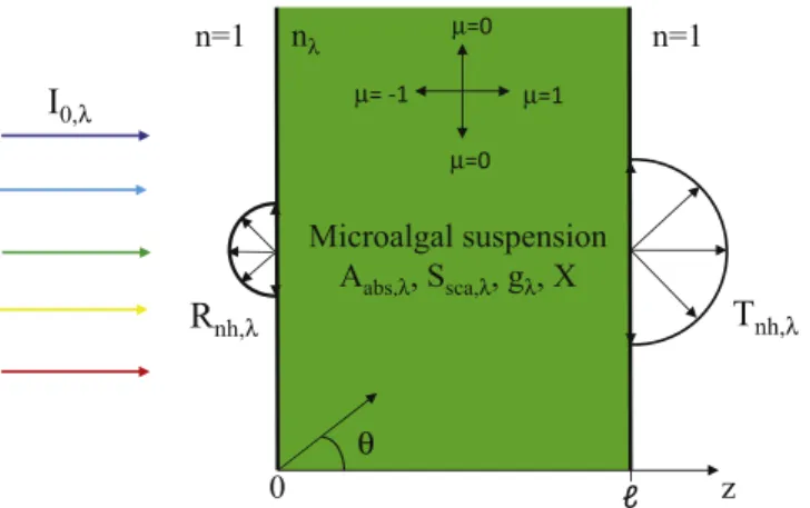 Fig. 1. Schematic of one-dimensional light transfer in a refracting, absorbing, and scattering microalgae suspension illuminated with collimated and normally incident light.