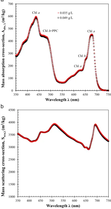 Fig. 5. Directly measured average spectral mass absorption A abs;λ and scattering S sca;λ cross-sections of C