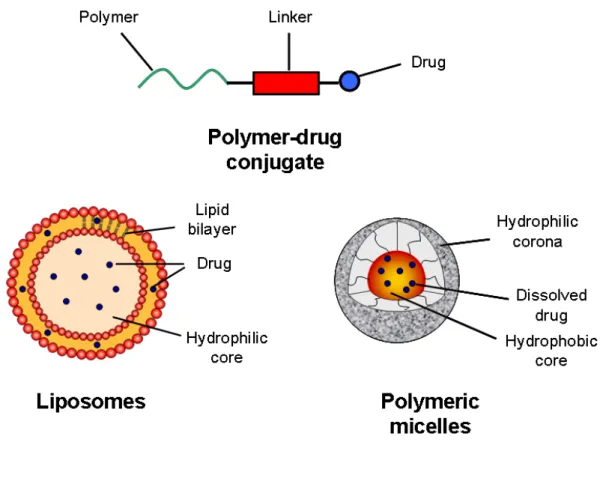 Figure 1. Some delivery systems (liposomes, PM and polymeric-drug conjugates)  currently being exploited for the delivery of anticancer drugs
