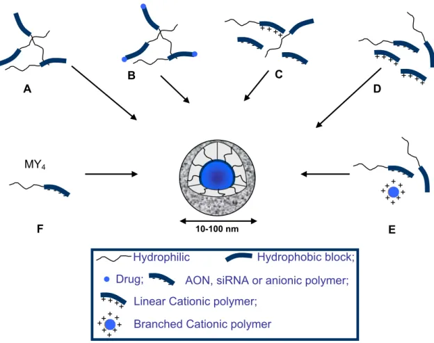 Figure 1. Conventional PM (A); drug-conjugated PM (B); and PICM with the  polyionic block consisting of cationic polymer (C) or polynucleic acid (antisense  oligonucleotide (AON) or short interfering RNA (siRNA)) (D and E)